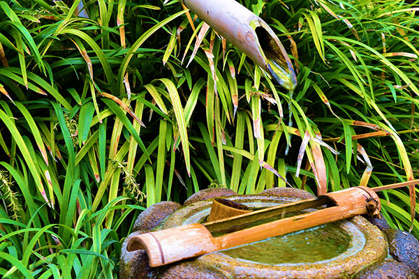 bambus-wasser