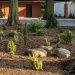 Der Schattengarten – Geeignete Pflanzen für schattige Gartenbereiche